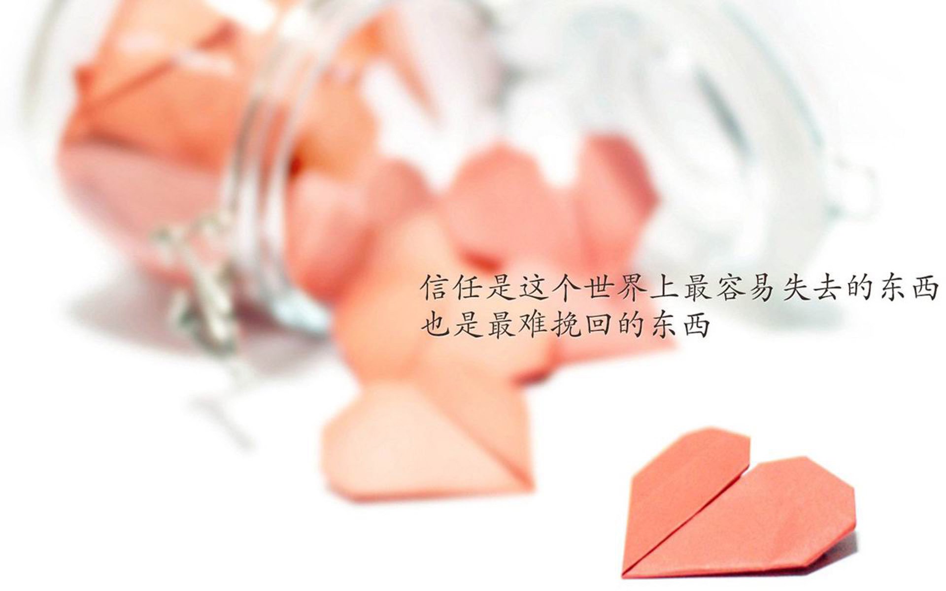 开云体育APP下载-_环城骑行寻宝：运动与探索相结合的趣味旅程_，城市骑行活动