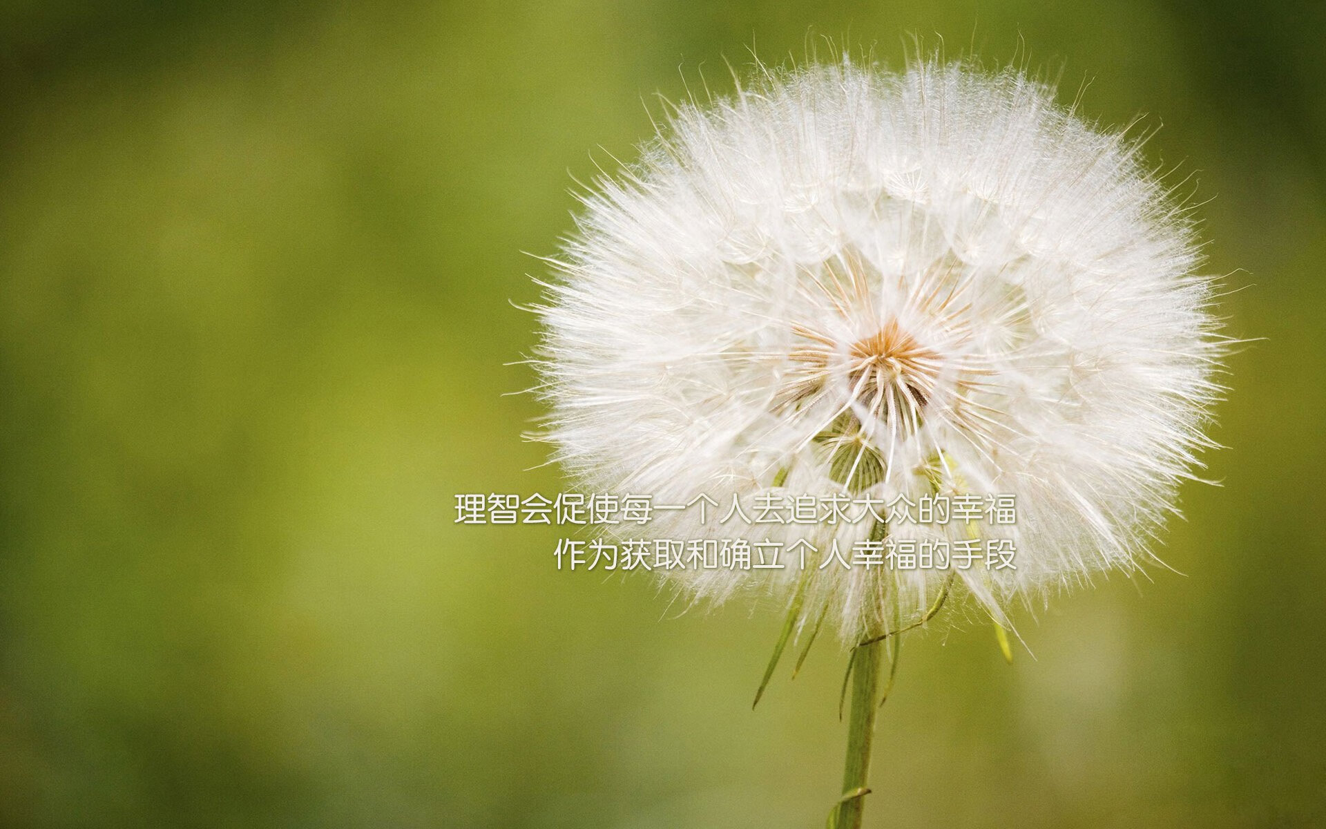 青少年篮球运动员心理调适项目深入基层，保障身心健康，篮球心里素质训练