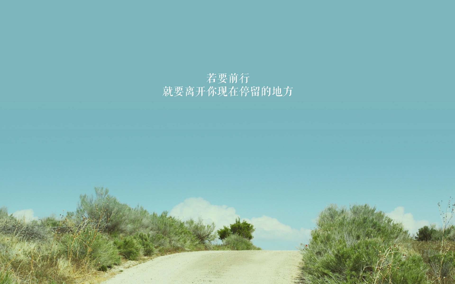 高校足球联赛全面铺开，培养本土足球后备力量，高校足球联赛历届排行