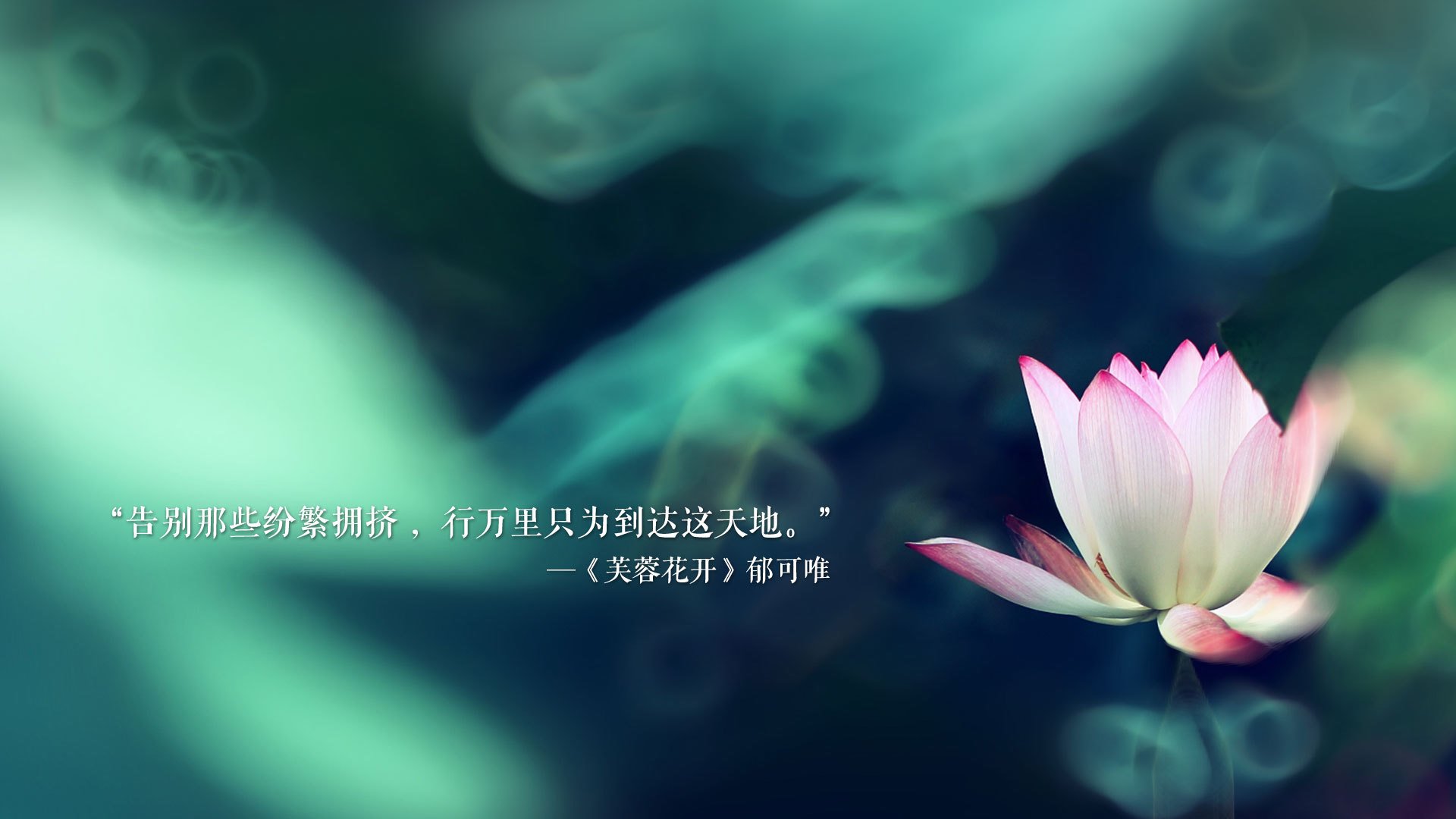 RNG教练团队策略调整，rng教练msi