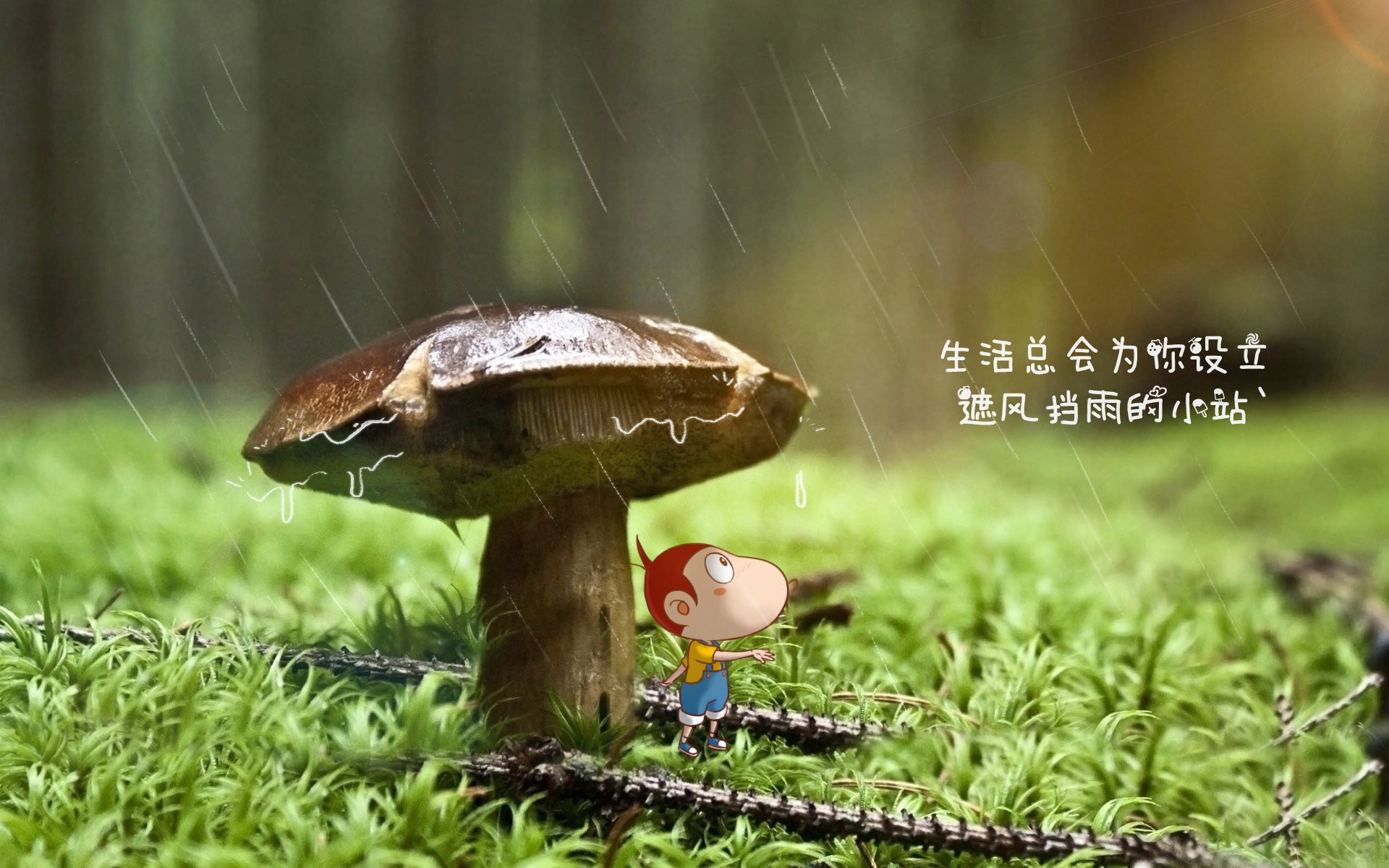 kaiyun官方网站-意甲VAR系统语义模型在争议判罚中的应用研究，意甲var系统语义模型在争议判罚中的应用研究现状
