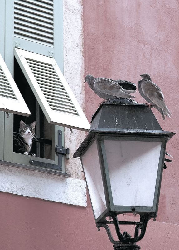 开云体育-女子国家队加强中前场配合训练提升传控能力