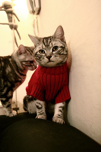 比赛结束后球员自发感谢远征球迷现场气氛感人至深，比赛后的致谢语