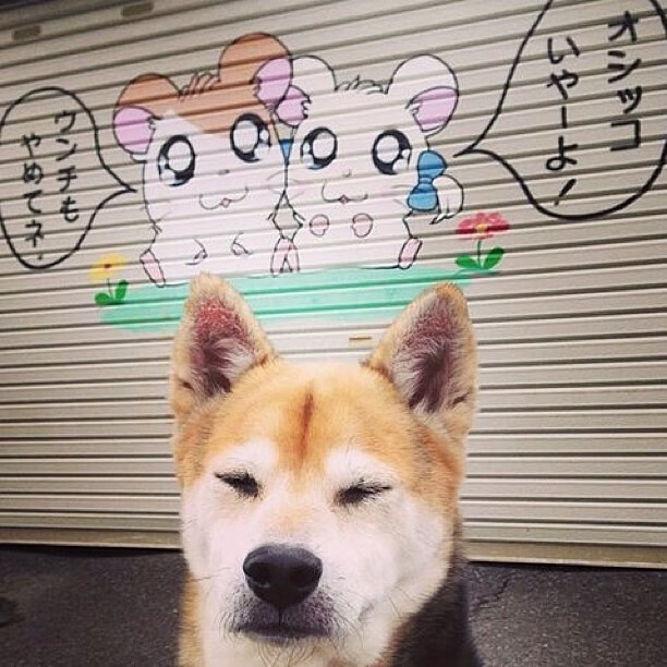 水球比赛吉尔吉斯斯坦女队配合默契，吉尔吉斯斯坦国家队