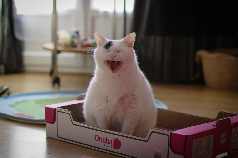 kaiyun官方网站-西甲史诗盛宴：破门、过人、扑救统统精彩绝伦，西甲门将扑救成功率